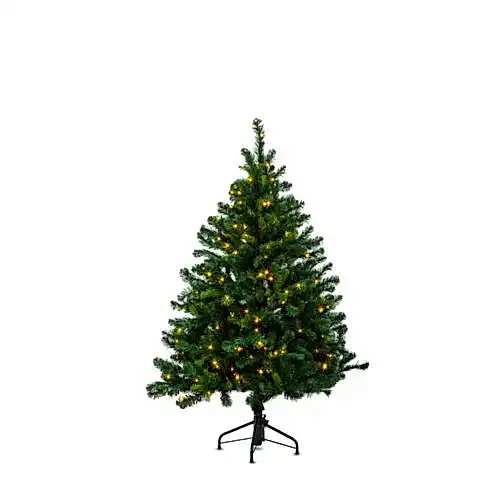 Alberta Spruce 150 cm - Yılbaşı Ağacı