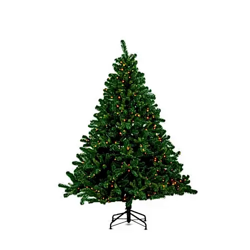 Alberta Spruce 210 cm - Yılbaşı Ağacı