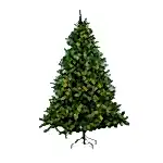 Alberta Spruce 240 cm - Yılbaşı Ağacı