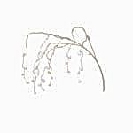 Sarkan İnci Tek Dal