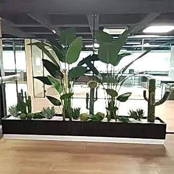 Dekorasyonda Kaktüs Kullanımı