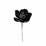 King Magnolia Stem (46 CM) - Black