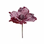 Yılbaşı Anasayfa Yılbaşı Çiçekleri